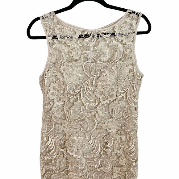 Adrianna Papell Champagne Gold Lace Sheath Dress - Picture 5 of 10